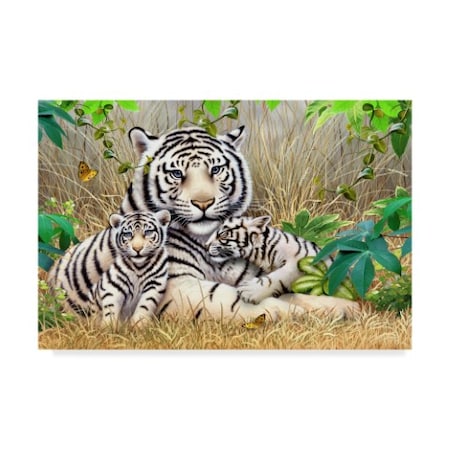 Howard Robinson 'Wild Tiger Wildlife' Canvas Art,16x24